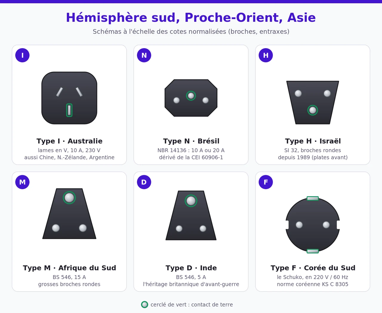 Six fiches : australienne type I à lames en V, brésilienne type N, israélienne type H, sud-africaine type M et indienne type D à grosses broches rondes, et fiche Schuko utilisée en Corée du Sud