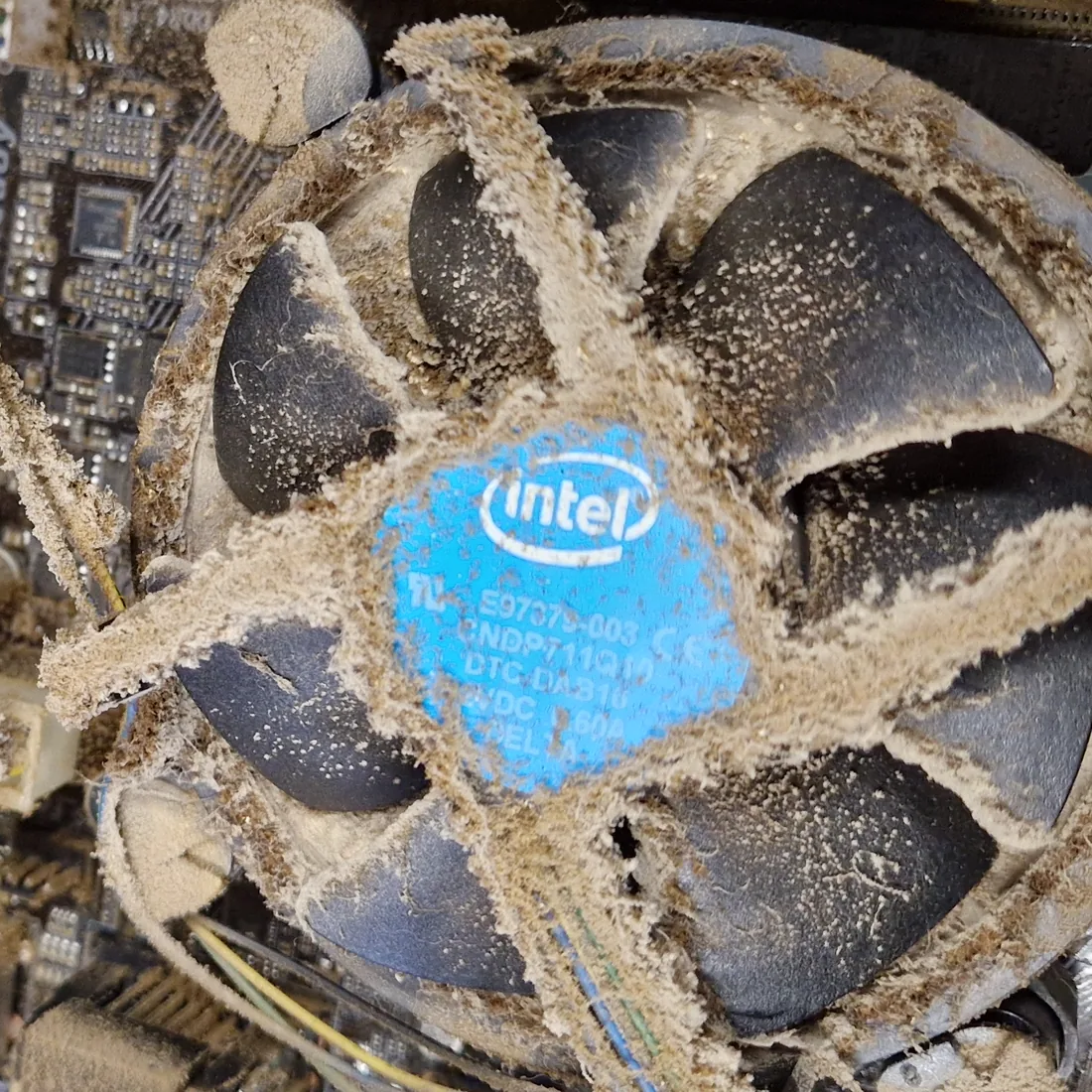 Gros plan sur un ventilateur de processeur Intel dont les pales et le radiateur sont entièrement colmatés par la poussière