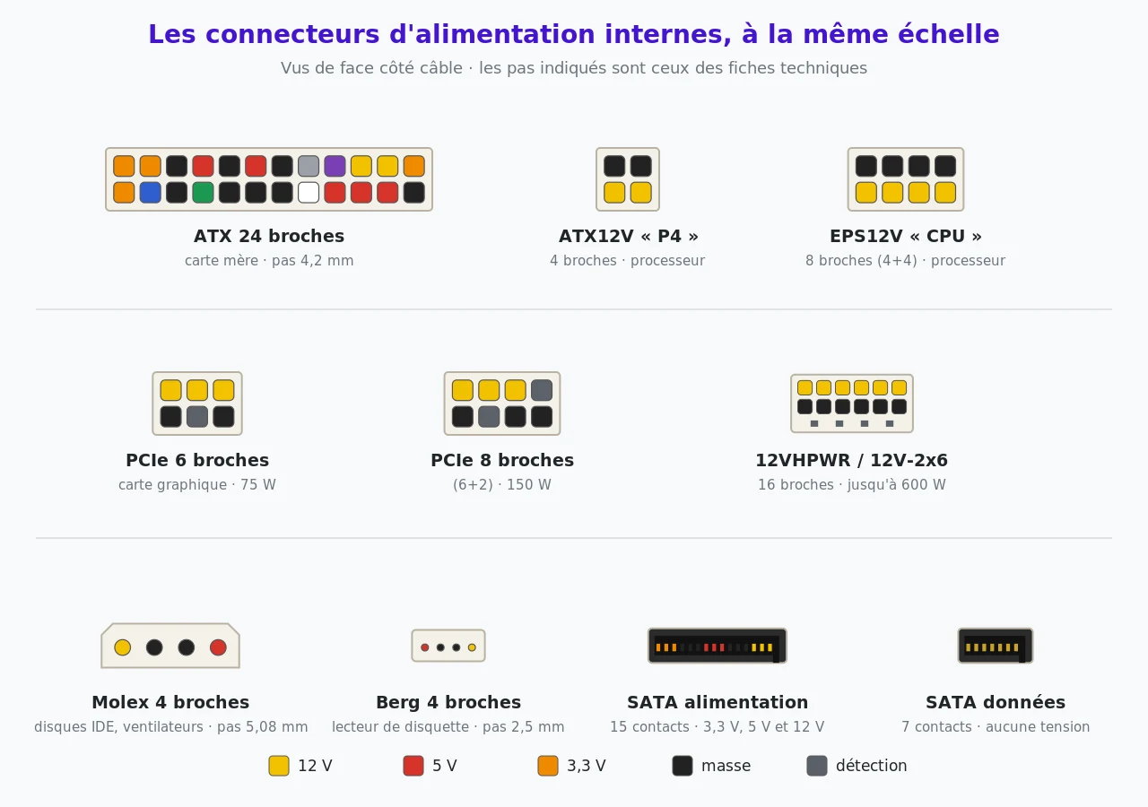 Planche des connecteurs d'alimentation internes vus de face à la même échelle : ATX 24 broches, ATX12V 4 broches, EPS12V 8 broches, PCIe 6 et 8 broches, 12VHPWR 16 broches, Molex 4 broches, Berg 4 broches, SATA alimentation 15 contacts et SATA données 7 contacts