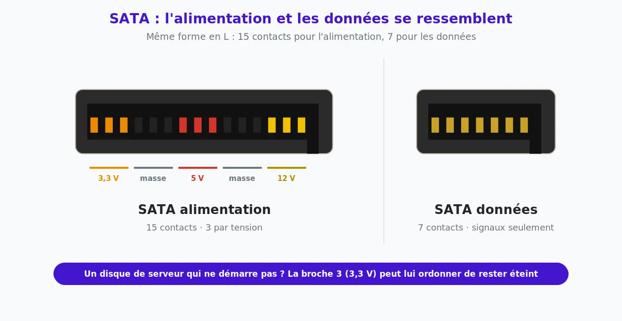 Comparaison du connecteur SATA d'alimentation à 15 contacts, groupés par trois en 3,3 V, masse, 5 V, masse et 12 V, et du connecteur SATA de données à 7 contacts, tous deux en forme de L