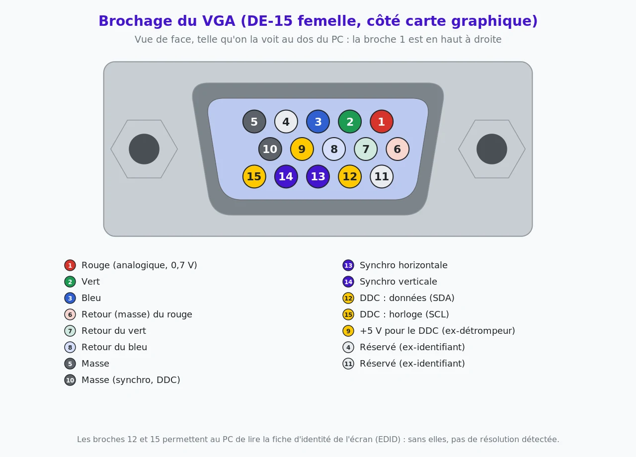 Brochage de la prise VGA femelle vue de face : broches 1, 2 et 3 pour le rouge, le vert et le bleu, 6 à 8 pour leurs retours, 13 et 14 pour les synchronisations, 12 et 15 pour le DDC, 9 pour le +5 V, 5 et 10 pour la masse, 4 et 11 réservées