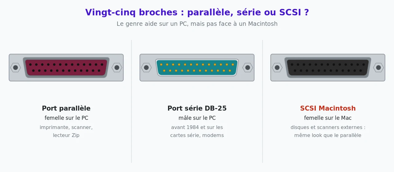 Trois prises DB-25 vues de face : port parallèle femelle bordeaux sur le PC, port série DB-25 mâle turquoise sur le PC, port SCSI femelle du Macintosh, identique en apparence au port parallèle